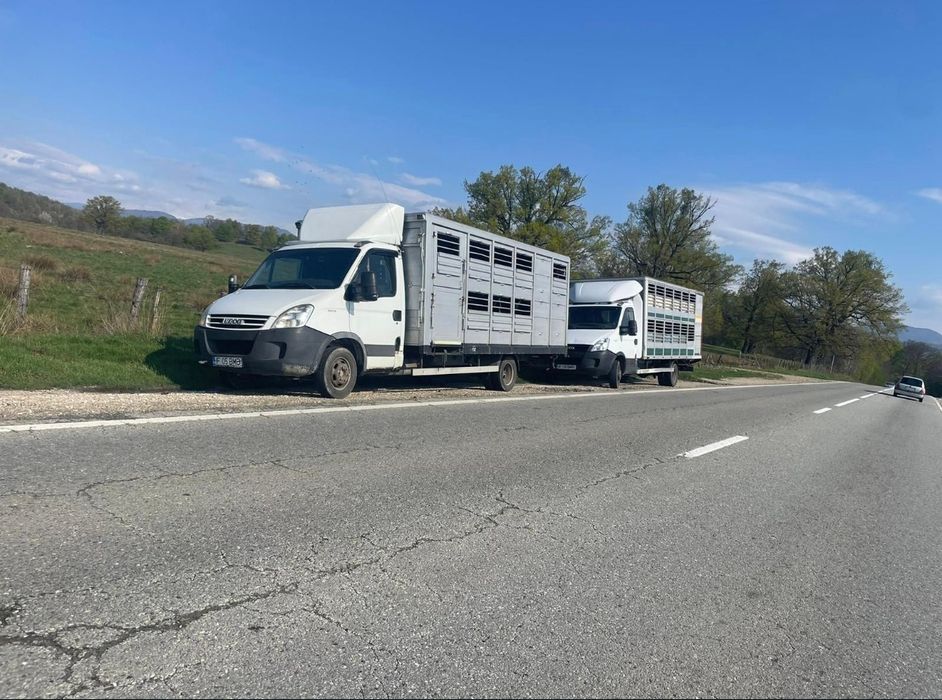 Transport animale autorizat oriunde in tara