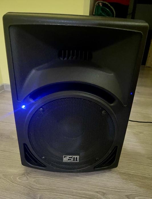 Boxa profesionala 300w
