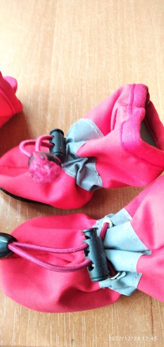 Обувь для домашнего питомца