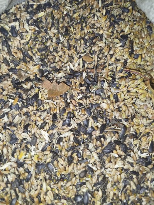 Зерносмесь мешками.