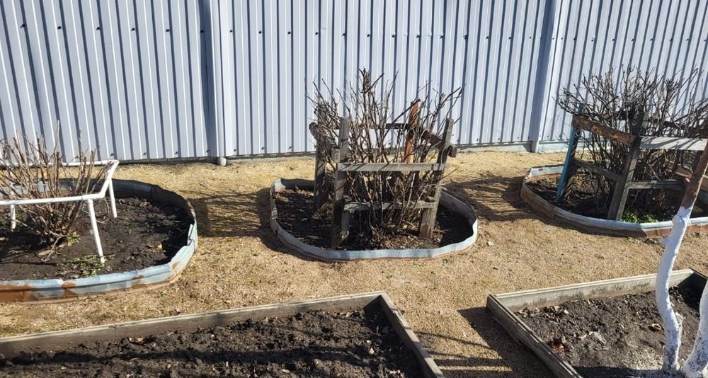 Продам дачу район Новопавловки