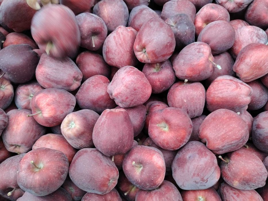 Vand mere si Pere,Polonia cal 1.