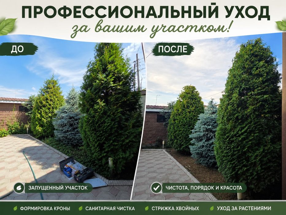Уход и обработка участка