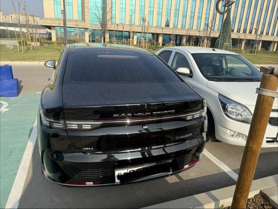 BYD Chazor Flagship — 120 km, 4 позиция фулл