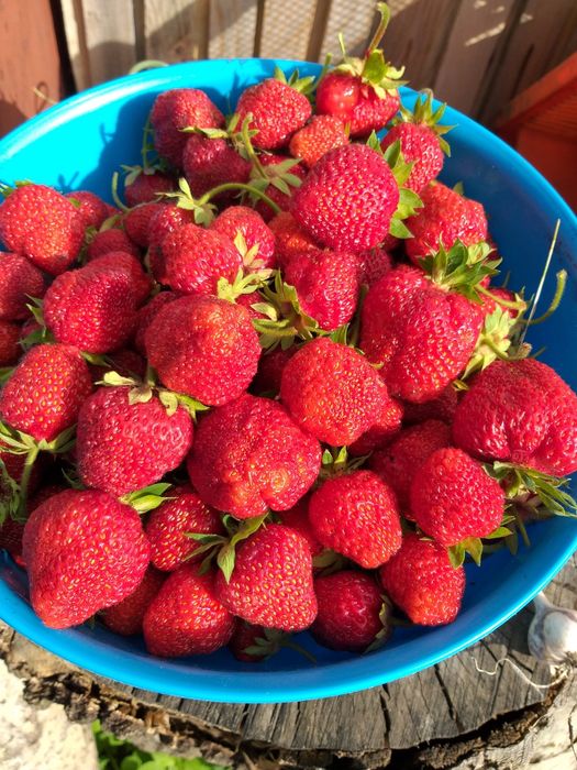 Дача в Садоводе на Наримановке