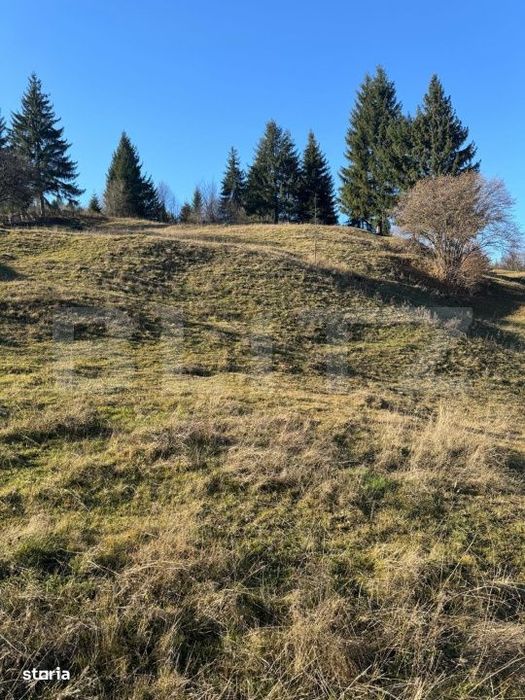 Teren in Vama, 13.050 mp, judetul Suceava, Bucovina, intravilan + extr