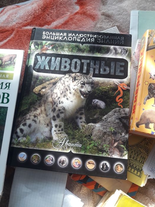Книги энциклопедии