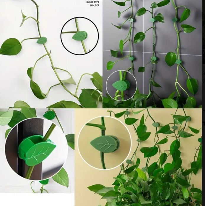 Gul (skindapsus,plush) shoxchalarini qistirish uchun qisqich

Pachkasi