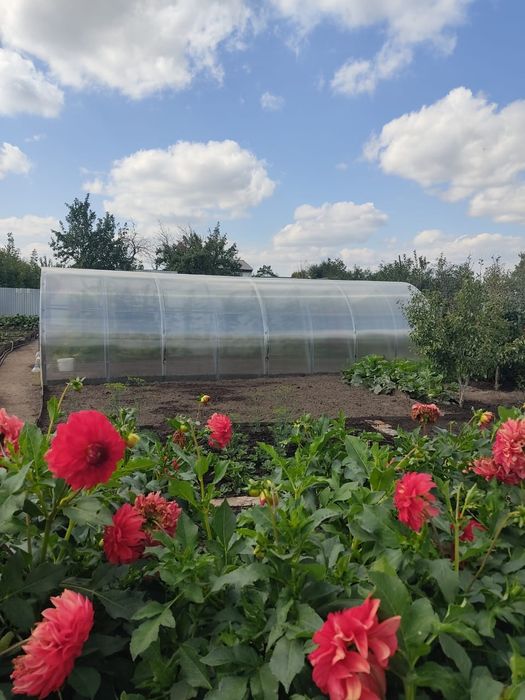 Дача на федоровке