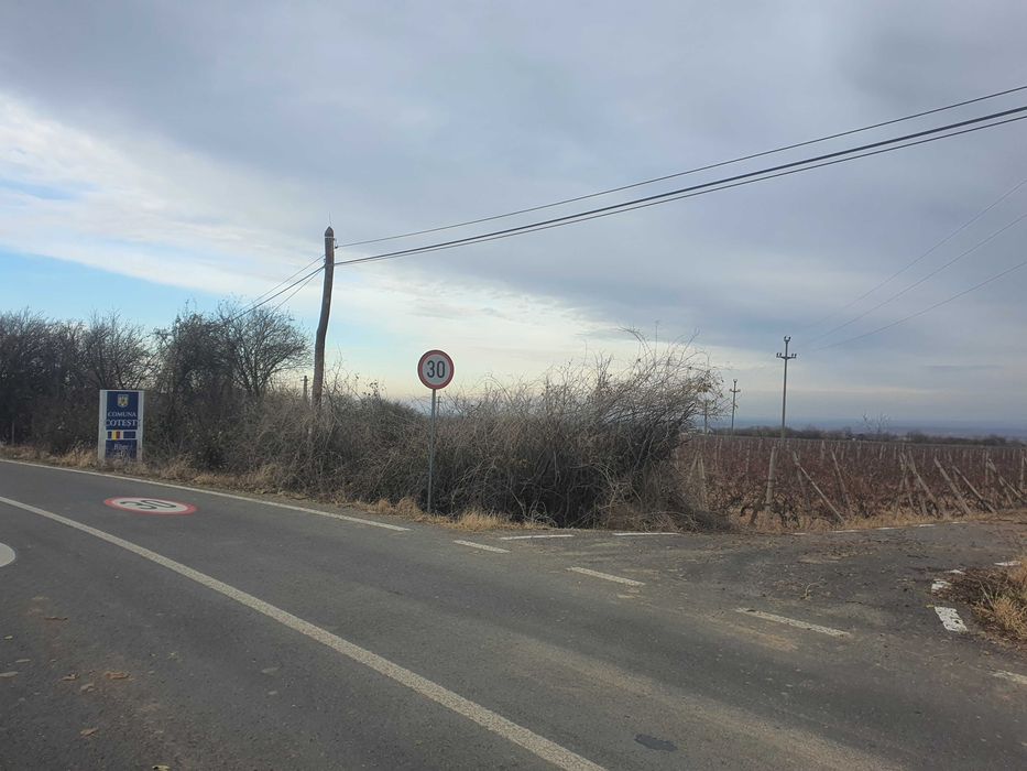 Teren vie Cotesti, Vrancea