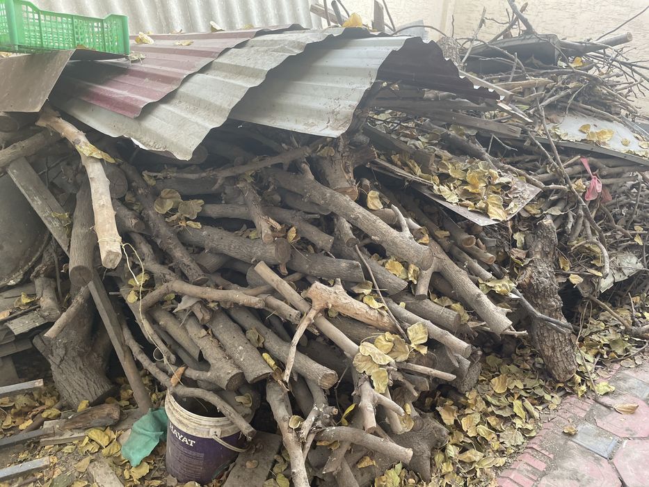 Otin sotilafi / Продаются дрова