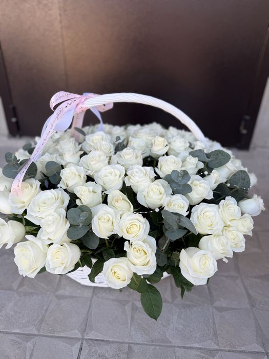 Свежая цена договорная