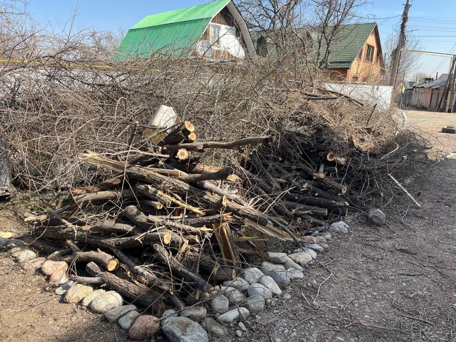 Продаем Дрова СРОЧНО