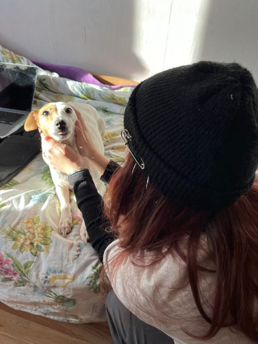 Разходки и грижи за кучета