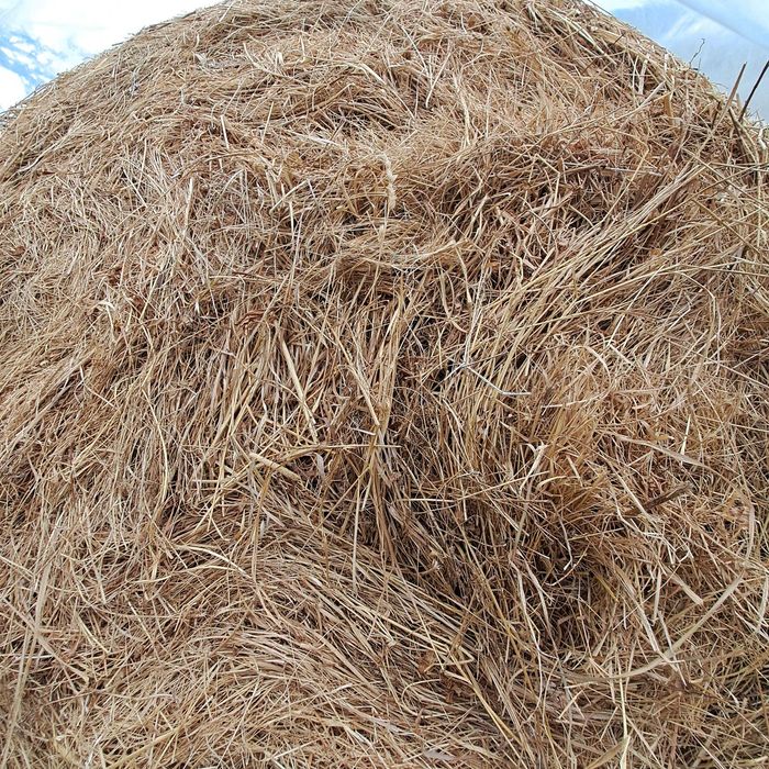 Vând baloti rotunzi