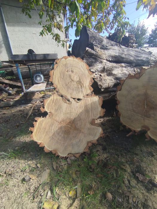 Rondele, felii de lemn din salcâm