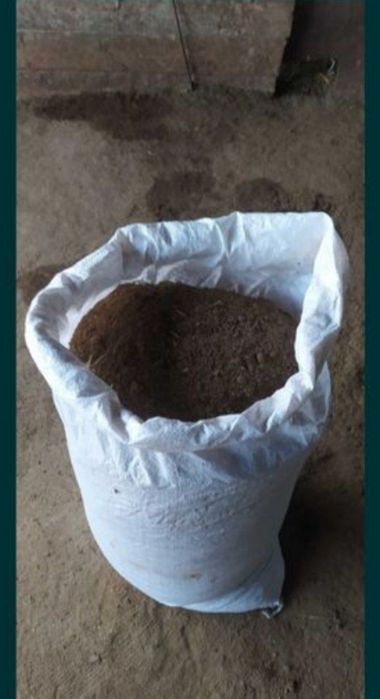 Qoy gongi tozza garantyali