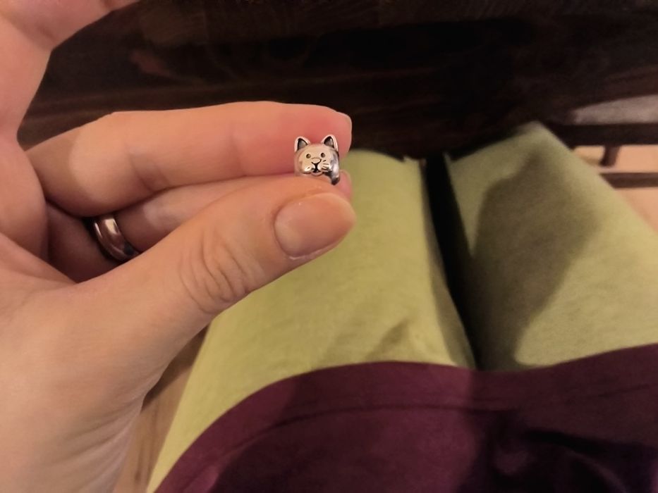 Талисмани и колиета тип Пандора, 5 и 10 евро / Pandora  печат 925