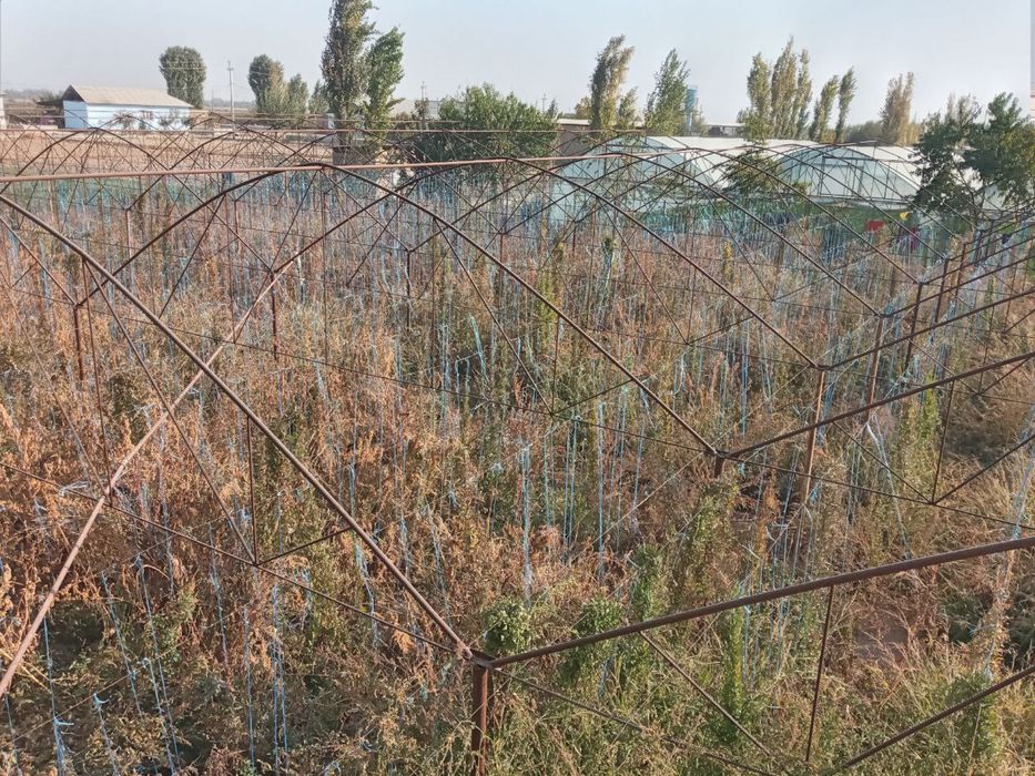 TЕПЛИЦА срочно сотилади  13.5 сотих - сув окувd латоги йок