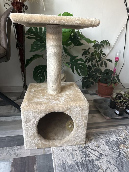 Котешка катерушка