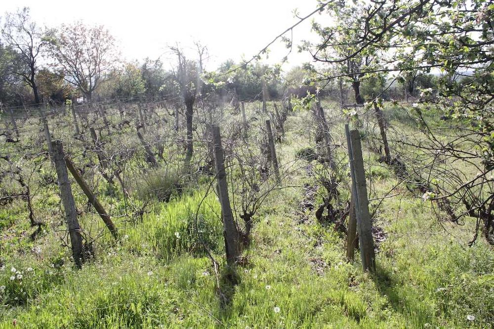 Продава се Парцел в с. Горица, Област Бургас - 1980 кв.м за 19 €/кв.м - Снимка #1