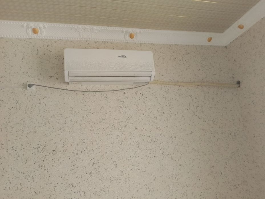 Kanesaner avalon