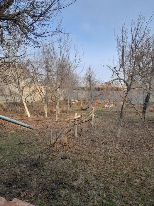 Uchastka 6 sotiqli, ayirnoshlash ham bor. Peshku tuman