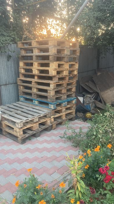 Полеты подон принемаем дорого