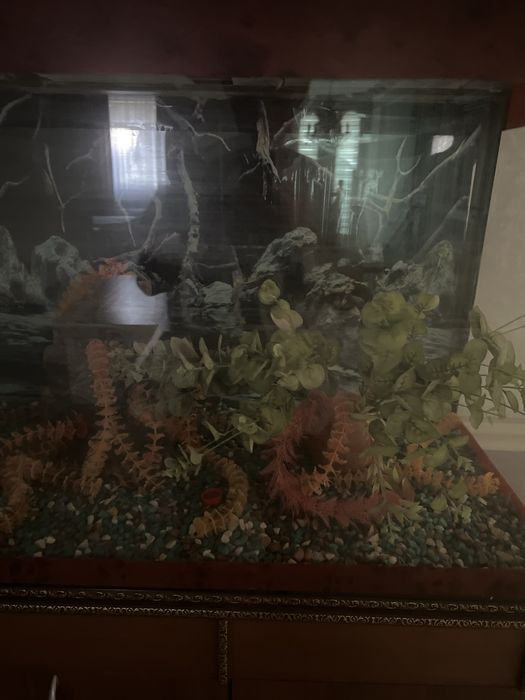 Аквариум для дома,офиса