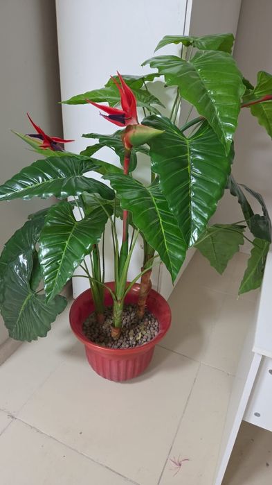 Искуственные цветы