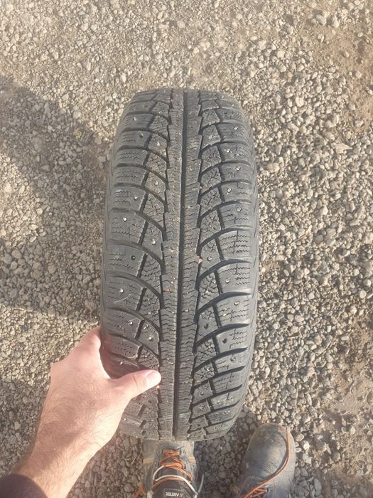 покрышка матадор