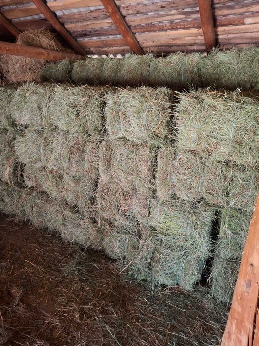 Baloti de lucernă si de fân