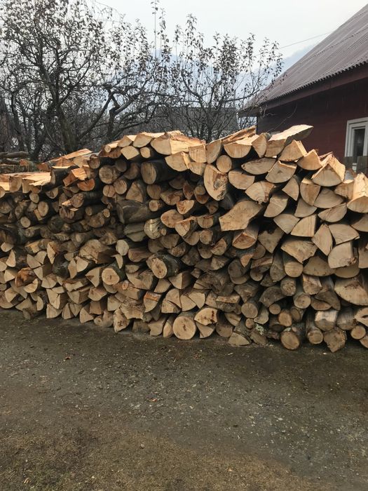 Lemne de foc (fag ,carpen , stejar)