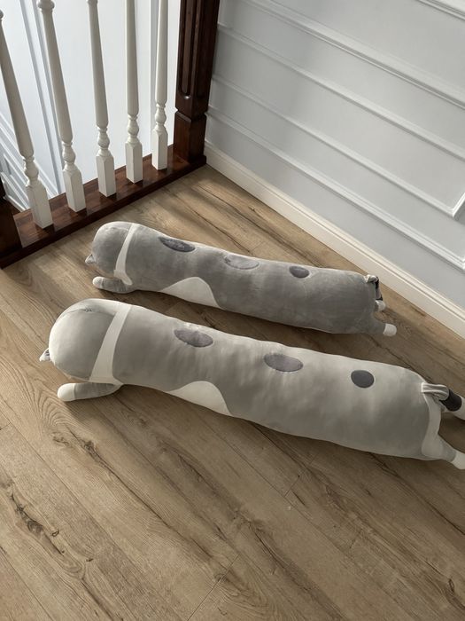 Кошки новые подужки