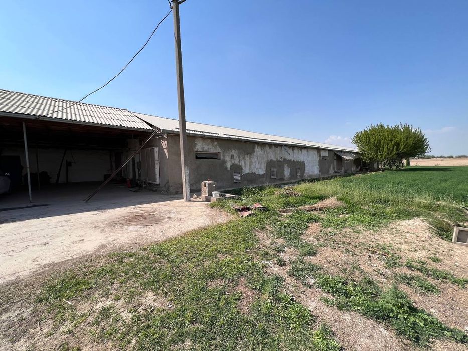 Срочна нотурар 150 сотих жойимиза сотилади