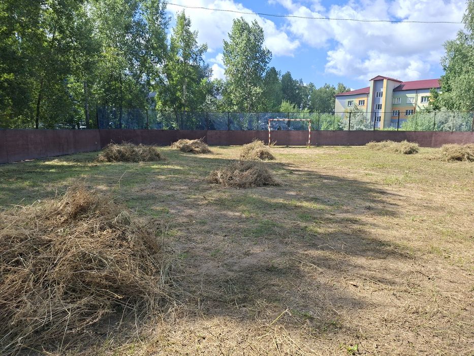 Сено БЕСПЛАТНО только самовывоз