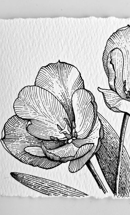 Нежни графични рисунки на цветя – ръчна изработка