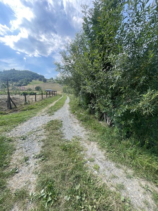 Teren extravil-intravila  2 parcele  la Vladeasa jud. Cluj,sat Visagu.