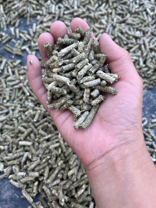 Гранулятор гранулятор