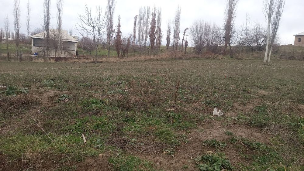 Участок. Учаска. Дача. ЯНГИБАЗАР-ЖУМАБАЗАР