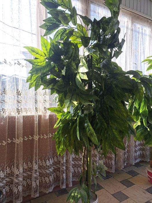 Жасанды ағаш сатылады   .Продам искуственные деревья