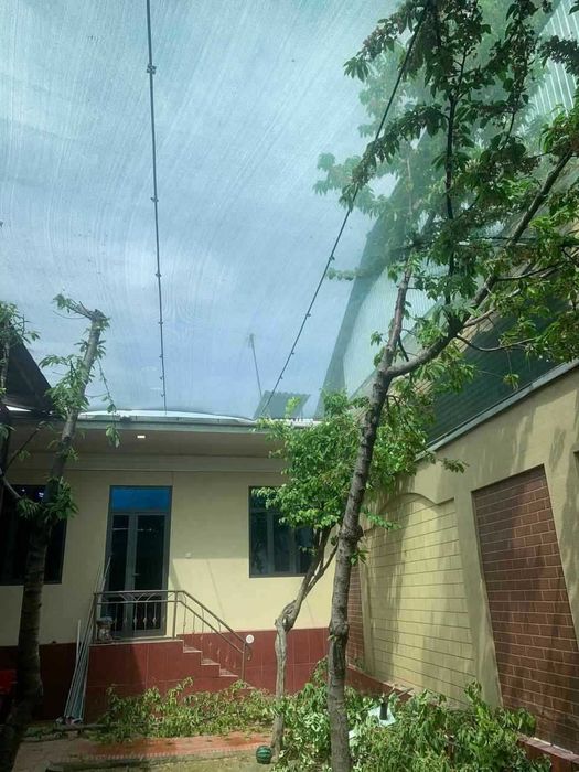 Солнцезащитная сетка