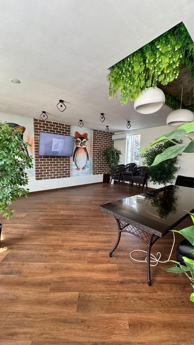 Сауна «Пингвин» в центре