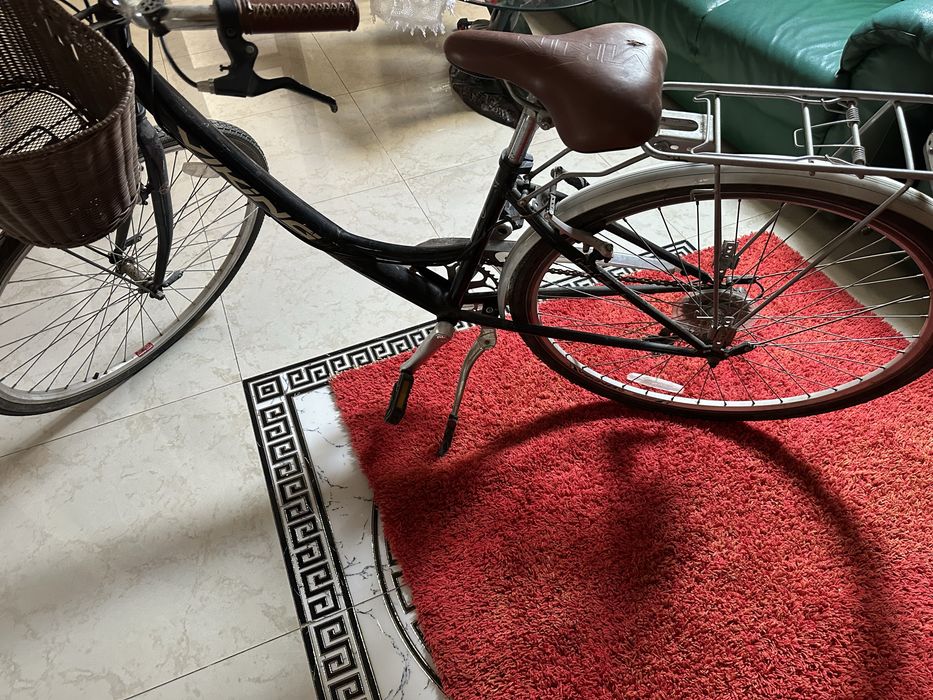 Bicicleta Viking