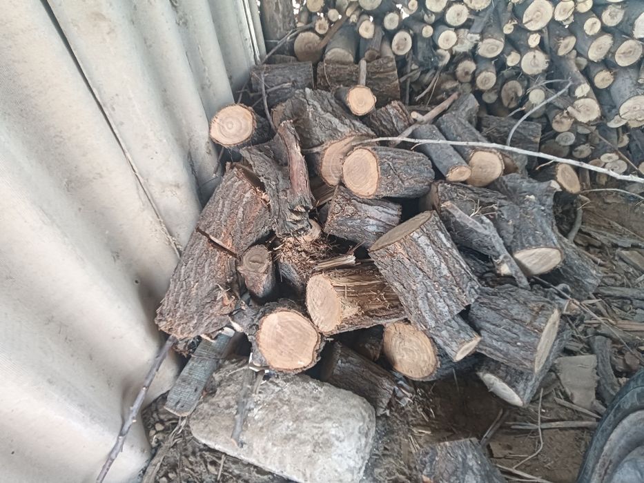 Отын бар машина телешка 15000мын