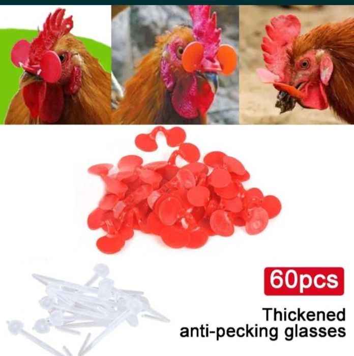 Очки от расклёва, для кур Tovuqlar uchun peckingga qarshi ko'zoynaklar