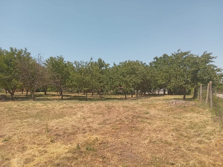 Продаваме дворно място със статут за постройка