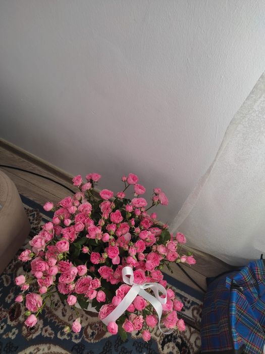 Продам букет цветов
