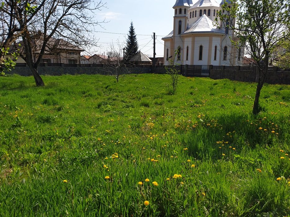 Teren împrejmuit cu gard placat cu piatră naturală  11 arii la