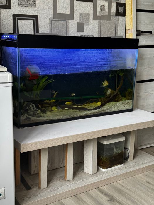 Продаем аквариум вместе со столом рыбками и всем что прилагается